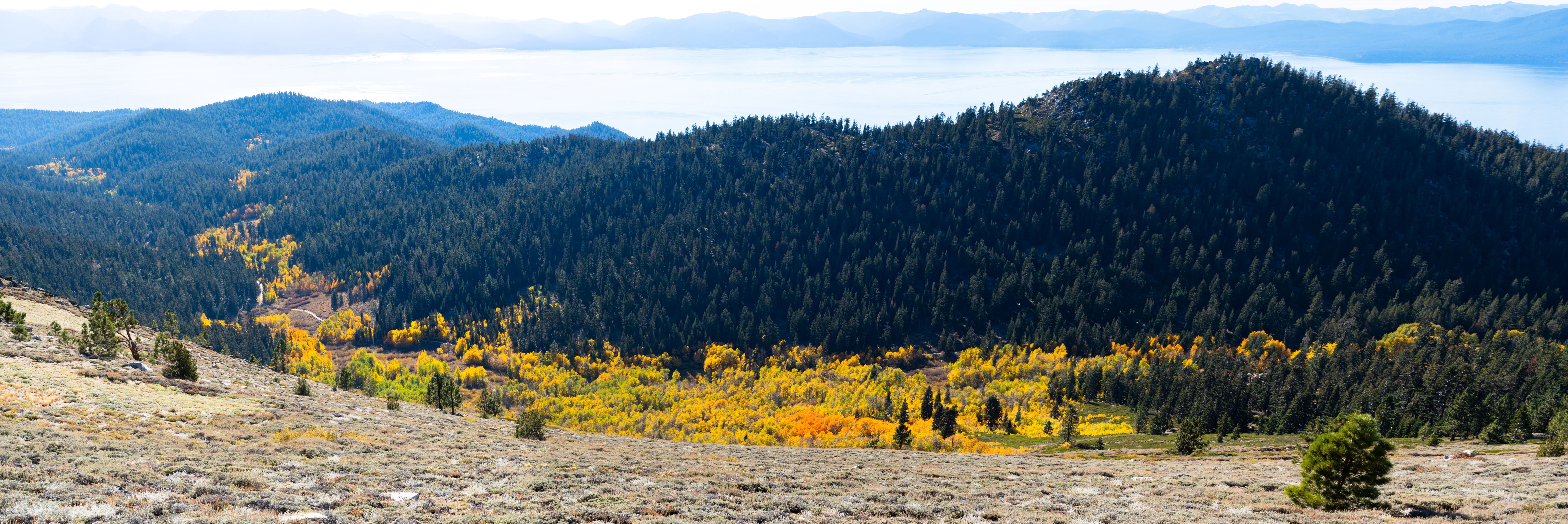 /images/tahoe-rim-trail-fall-color.jpg